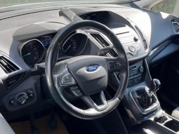 
										Ford C-MAX 1,0 SCTi 100 Titanium 5d full									