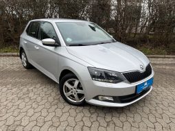 
										Skoda Fabia 1,2 TSi 110 Ambition DSG 5d full									